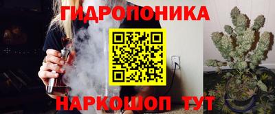 мдпв Партизанск