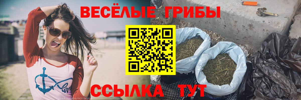 Псилоцибиновые грибы прущие грибы  Вход с VPN  Сыктывкар 